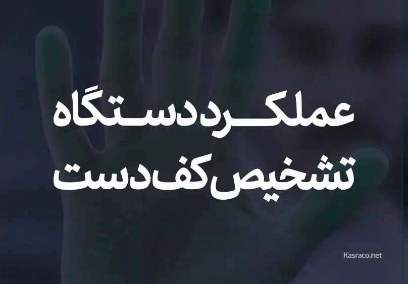 دستگاه حضور و غیاب تشخیص کف دست چگونه کار می کند؟ 4 عملکرد دستگاه تشخیص کف دست
