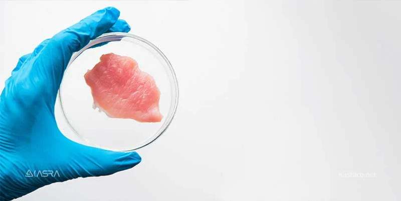 سیستم آنالیز غذا 1 food analysis