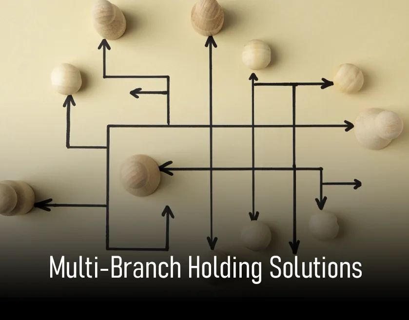 Holding solution