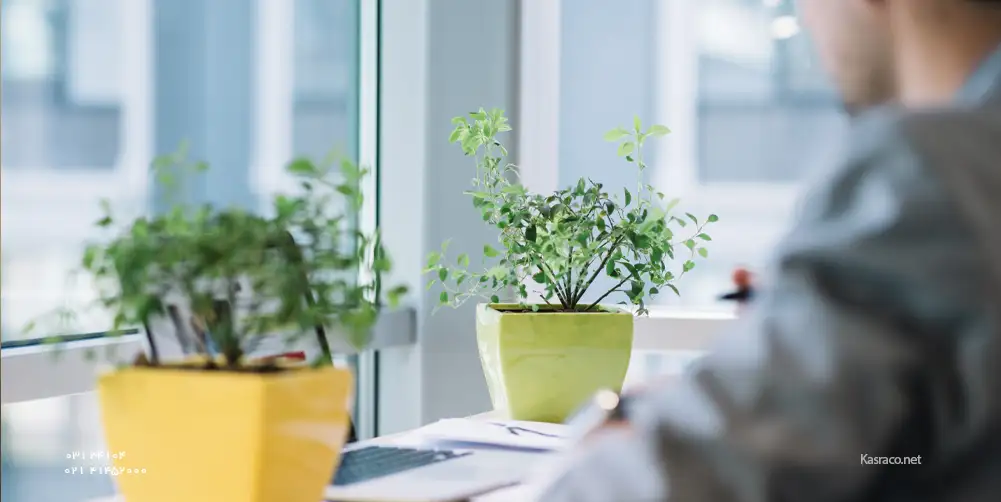 سیستم انگیزشی منابع انسانی